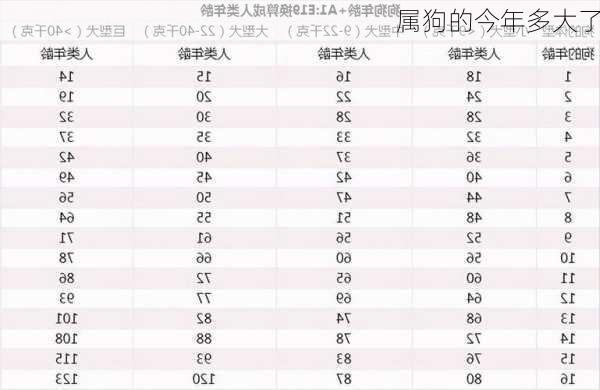 属狗的今年多大了-第3张图片-滋味星座网