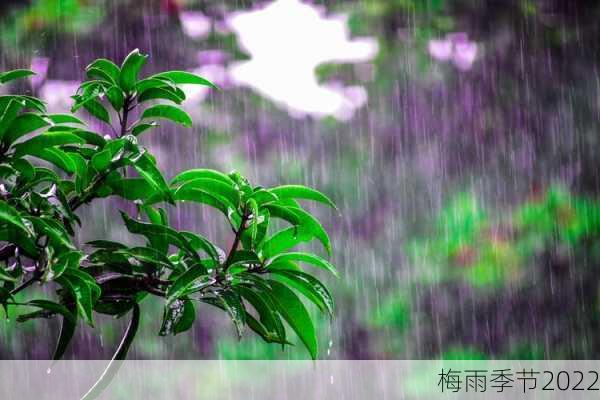 梅雨季节2022-第1张图片-滋味星座网