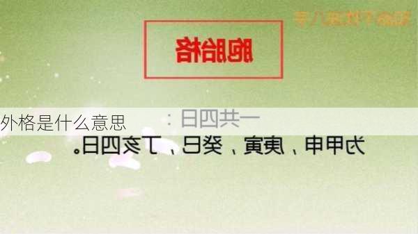 外格是什么意思