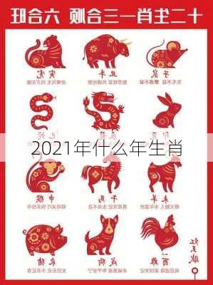 2021年什么年生肖-第2张图片-滋味星座网