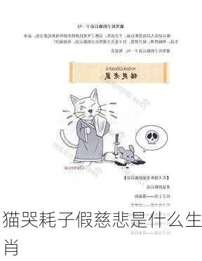 猫哭耗子假慈悲是什么生肖-第2张图片-滋味星座网