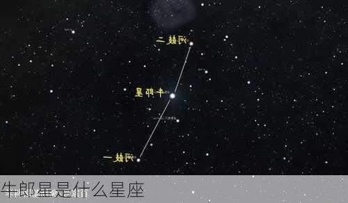 牛郎星是什么星座