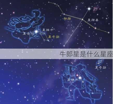 牛郎星是什么星座-第3张图片-滋味星座网