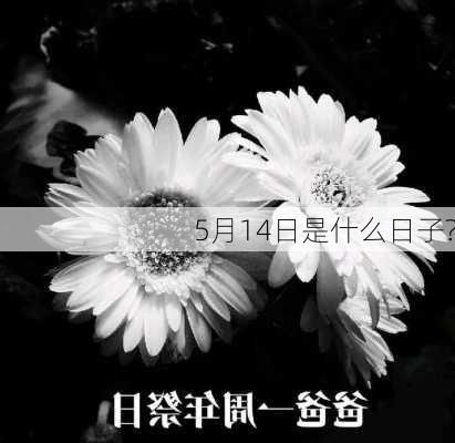 5月14日是什么日子?-第2张图片-滋味星座网