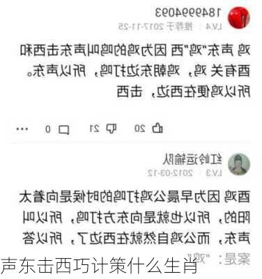 声东击西巧计策什么生肖-第2张图片-滋味星座网