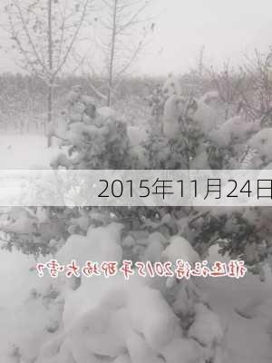 2015年11月24日-第2张图片-滋味星座网