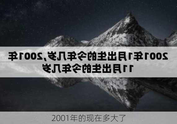 2001年的现在多大了-第3张图片-滋味星座网