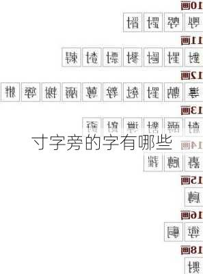 寸字旁的字有哪些-第3张图片-滋味星座网