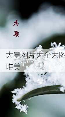 大寒图片大全大图唯美-第3张图片-滋味星座网