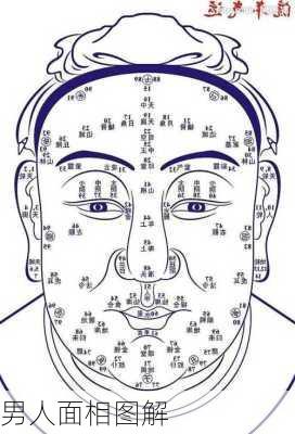男人面相图解-第3张图片-滋味星座网