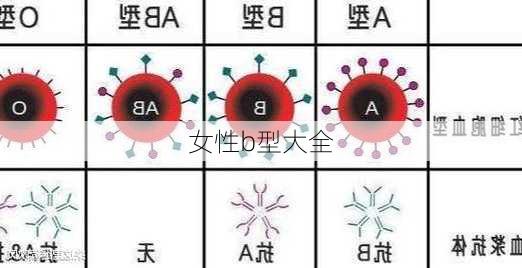 女性b型大全-第2张图片-滋味星座网