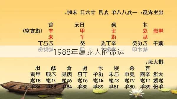 1988年属龙人的命运-第3张图片-滋味星座网