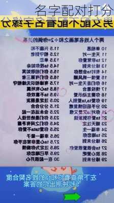 名字配对打分