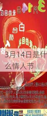 3月14日是什么情人节-第2张图片-滋味星座网