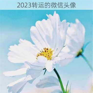 2023转运的微信头像-第2张图片-滋味星座网