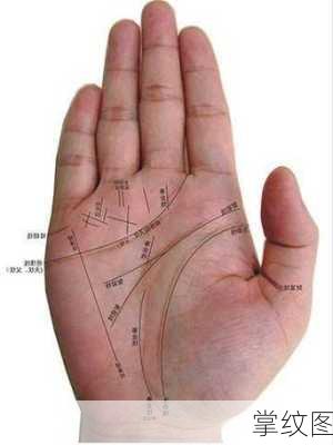 掌纹图-第2张图片-滋味星座网