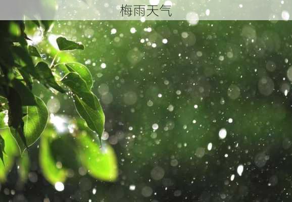 梅雨天气-第2张图片-滋味星座网