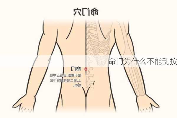 命门为什么不能乱按-第3张图片-滋味星座网