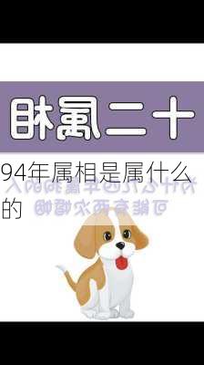 94年属相是属什么的-第1张图片-滋味星座网