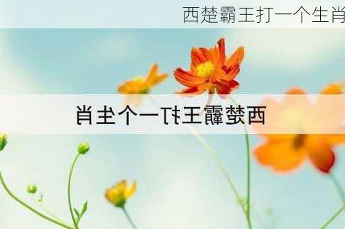 西楚霸王打一个生肖