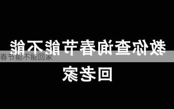 春节能不能回家-第3张图片-滋味星座网