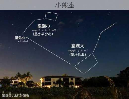 小熊座-第3张图片-滋味星座网