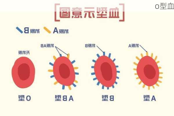 o型血-第1张图片-滋味星座网