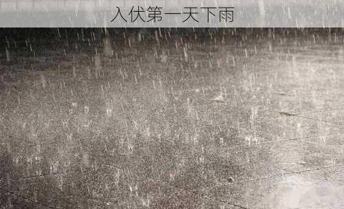 入伏第一天下雨