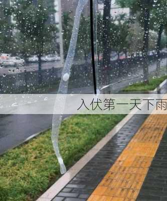 入伏第一天下雨-第2张图片-滋味星座网