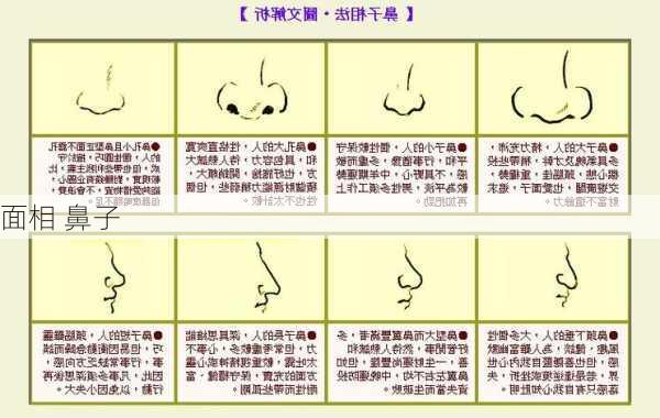 面相 鼻子-第2张图片-滋味星座网