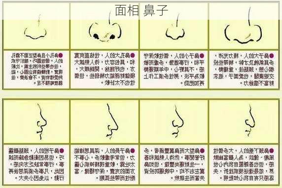 面相 鼻子-第3张图片-滋味星座网