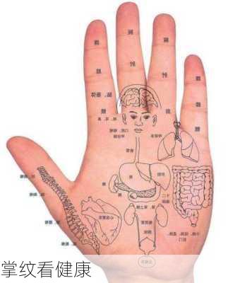 掌纹看健康-第1张图片-滋味星座网