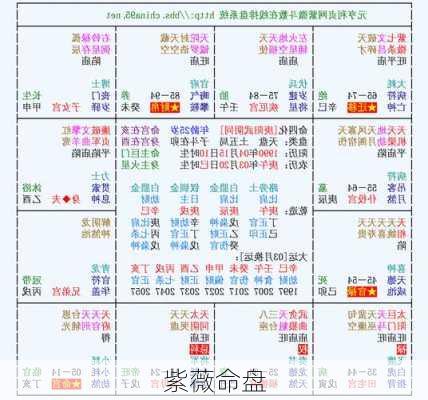 紫薇命盘-第2张图片-滋味星座网