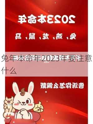 兔年本命年2023年要注意什么