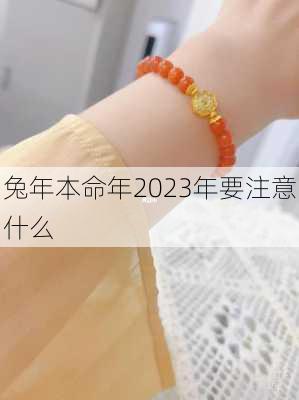 兔年本命年2023年要注意什么-第3张图片-滋味星座网