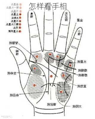 怎样看手相-第2张图片-滋味星座网