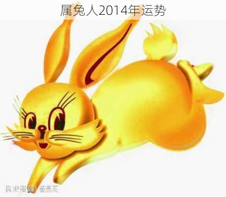 属兔人2014年运势-第3张图片-滋味星座网