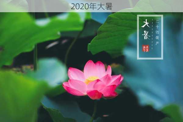 2020年大暑-第2张图片-滋味星座网