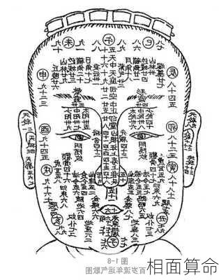 相面算命-第3张图片-滋味星座网