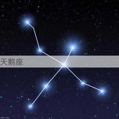 天鹅座-第3张图片-滋味星座网