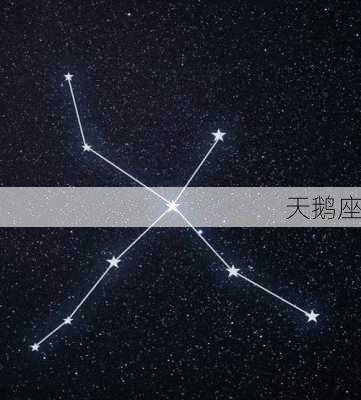 天鹅座-第1张图片-滋味星座网