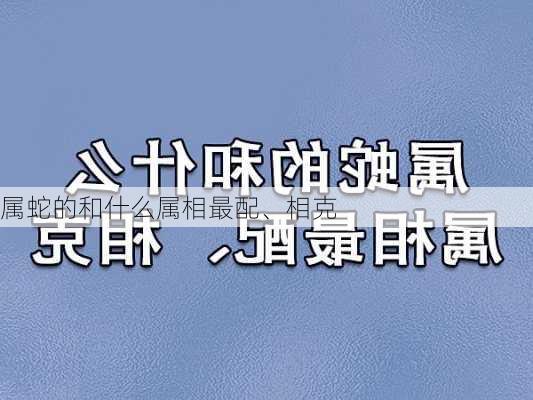 属蛇的和什么属相最配、相克