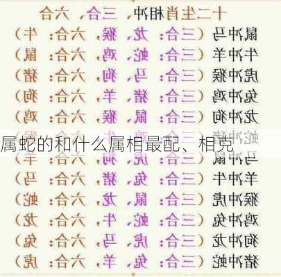 属蛇的和什么属相最配、相克-第3张图片-滋味星座网