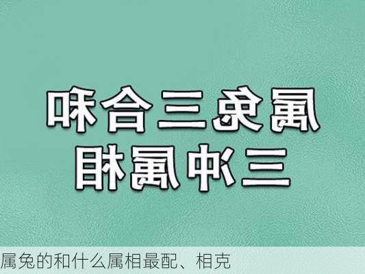 属兔的和什么属相最配、相克-第2张图片-滋味星座网