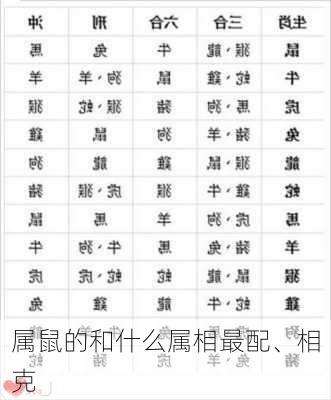 属鼠的和什么属相最配、相克-第3张图片-滋味星座网