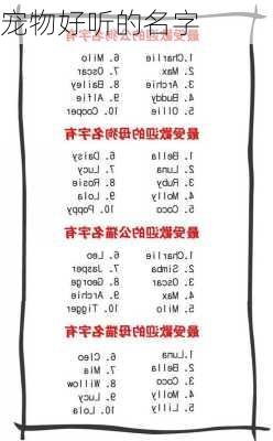 宠物好听的名字-第3张图片-滋味星座网