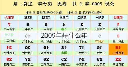 2009年是什么年-第1张图片-滋味星座网