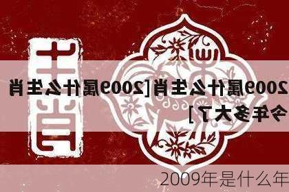 2009年是什么年-第2张图片-滋味星座网