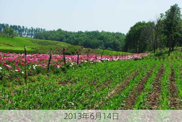 2013年6月14日-第2张图片-滋味星座网