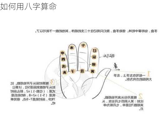 如何用八字算命-第1张图片-滋味星座网